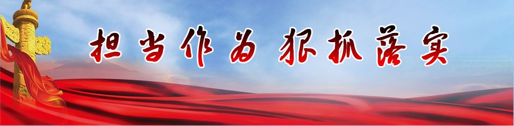 擔當作為狠抓落實