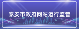 泰安市政府網站運行監管